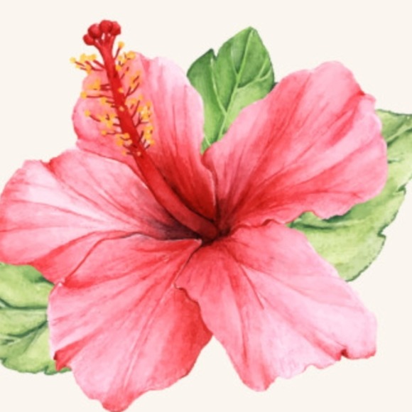 pinkhibiscus49